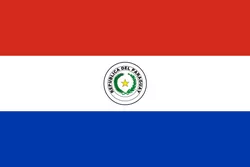 巴拉圭 队徽